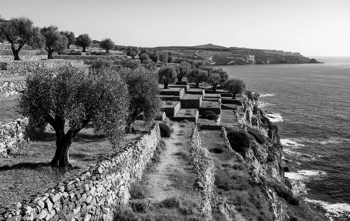 Mediterranean landscape